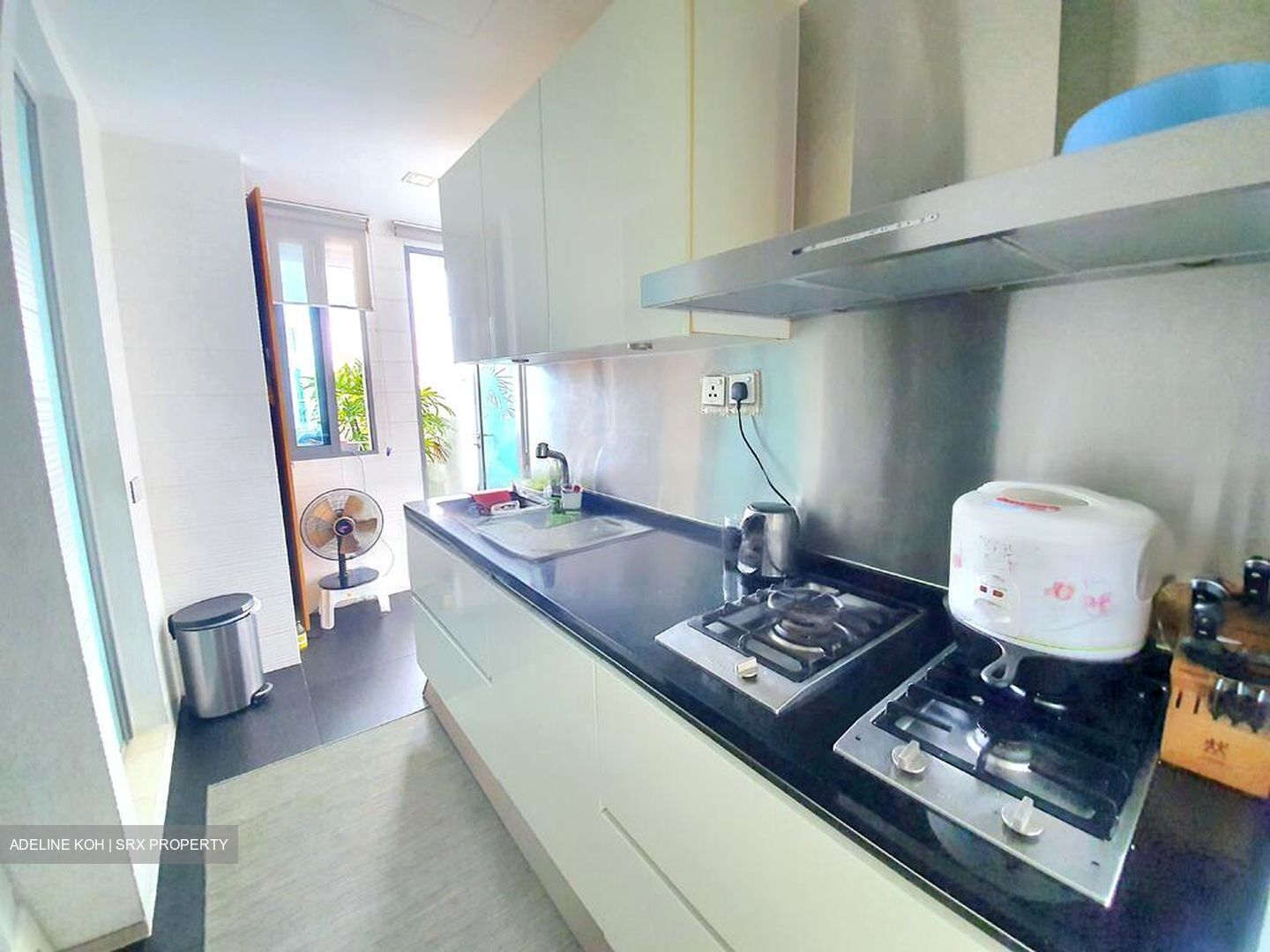 Waterfall Gardens (D10), Condominium #458475731